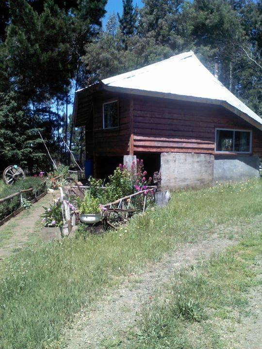 Cabanas Huilipan Gonzalez Nueva Imperial ภายนอก รูปภาพ